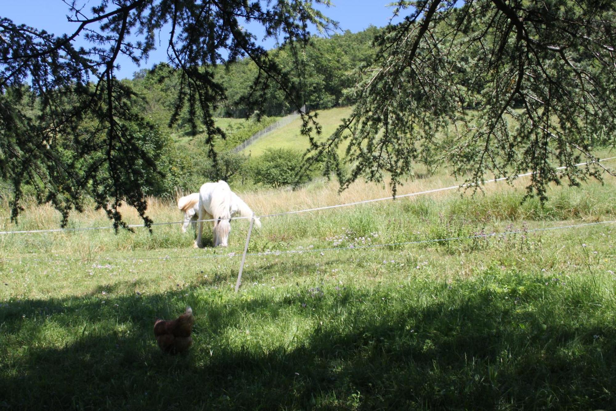 Comfortable Village Apartment In Barbieres With Access To Large Garden With Beautiful Views Екстериор снимка